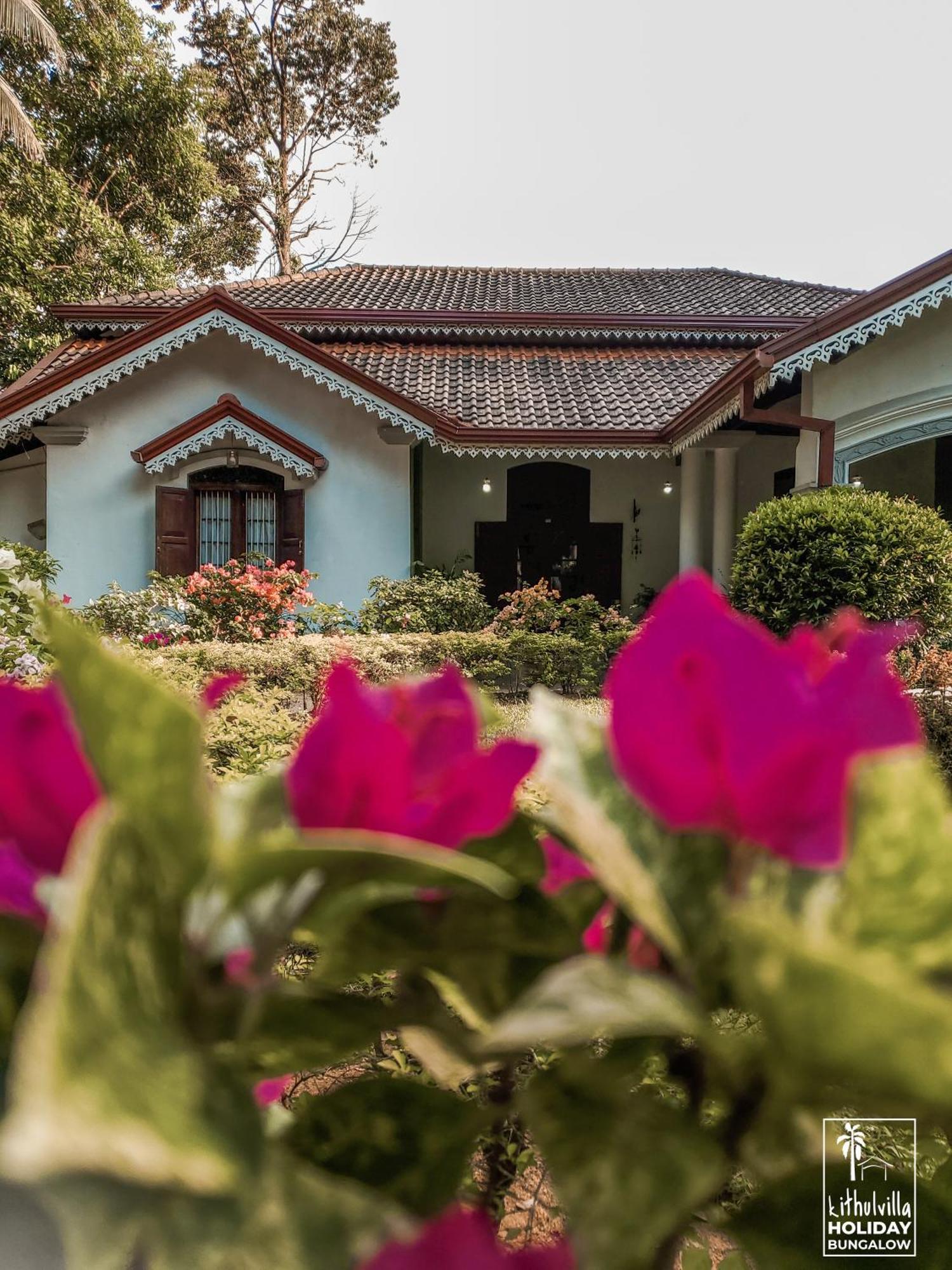 Kithulvilla Holiday Bungalow Kitulgala Bagian luar foto